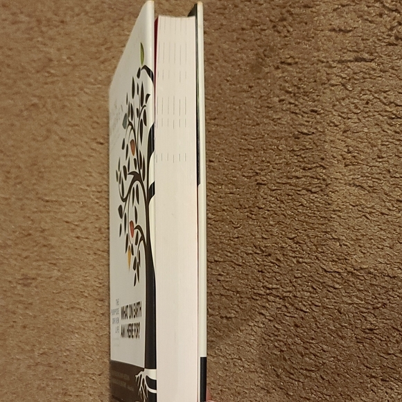 Rick Warren what on earth am i here for ? - Picture 3 of 3